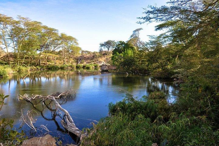 6 Days Amboseli Tsavo West & Taita Hills Safari