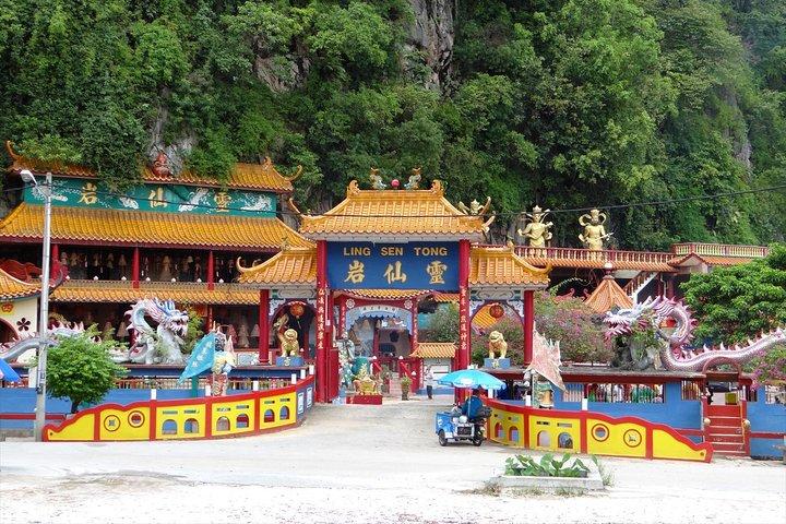 Full-day Cameron Highlands Tour