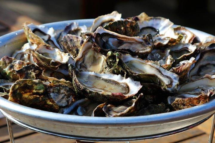 Private Tour: Mali Ston Day Trip with Oyster Tasting from Dubrovnik