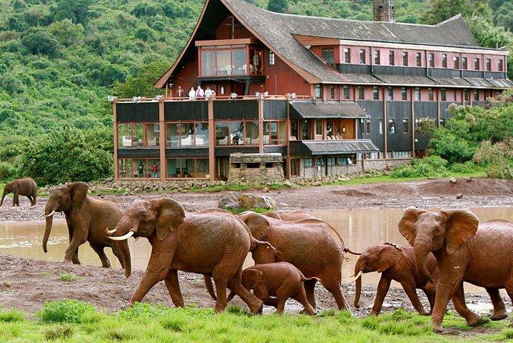8 Days Best Of Kenya Big 5 Safari on 4x4 land Cruiser Jeep