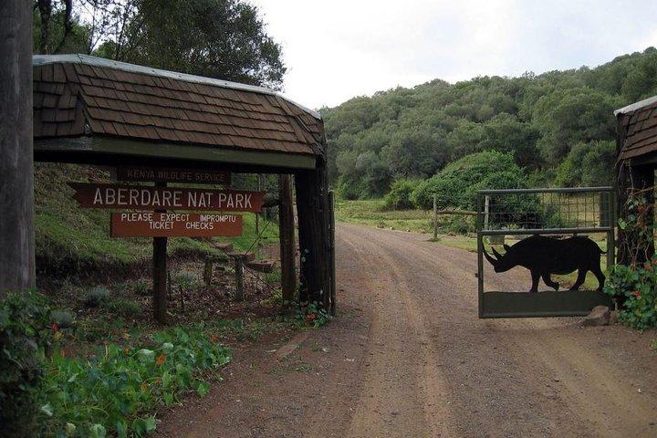 8 Days Best Of Kenya Big 5 Safari on 4x4 land Cruiser Jeep