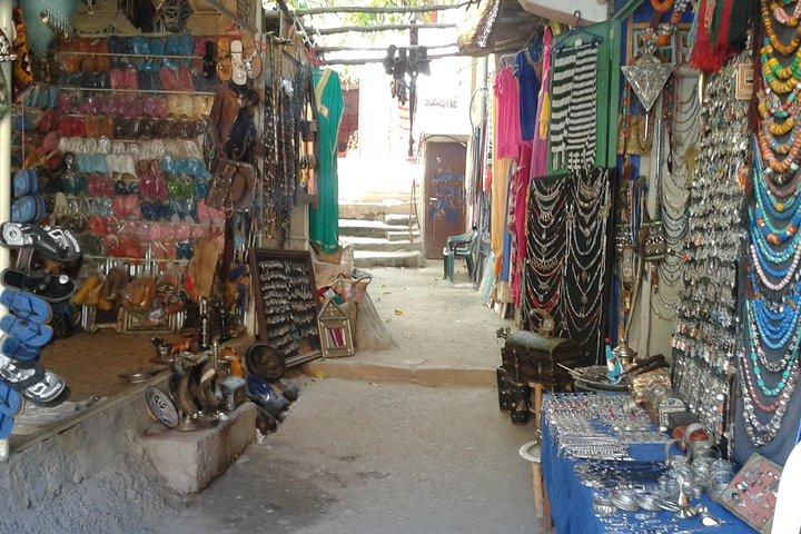 The Ourika Valley & the Atlas Mountains including lunch