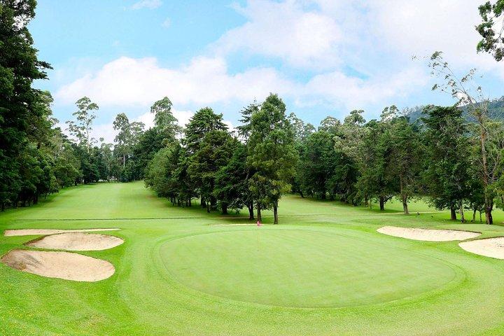 Day Trip to Nuwara eliya from Kandy