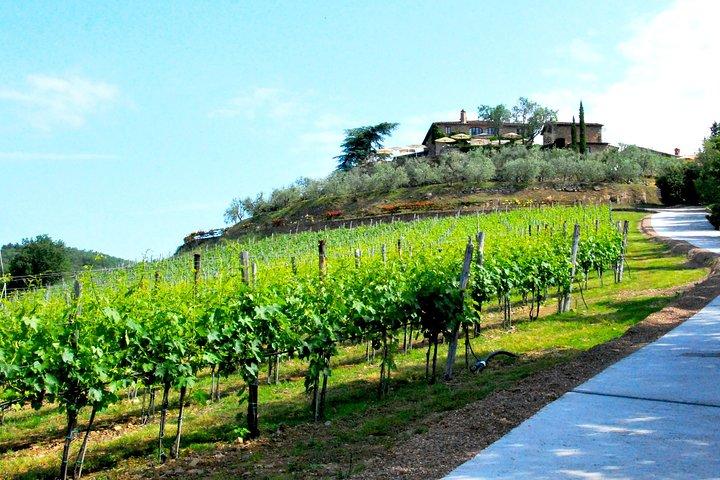 San Gimignano and Chianti Classico Wine and Food PRIVATE TOUR from SIENA