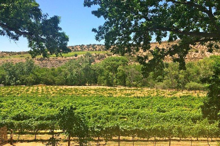 Verde Valley Wine Tour - 4 Vineyards, Limo Style Bus, Charcuterie