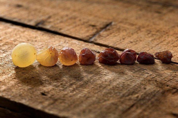 Tokaj private tour with winetasting