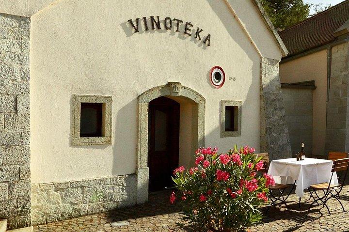 Tokaj private tour with winetasting