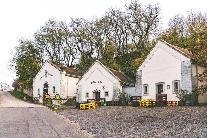 Tokaj private tour with winetasting