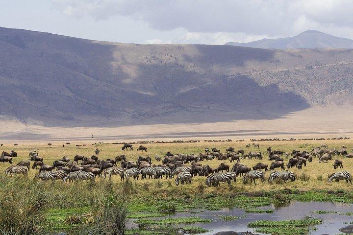 3 Days Ngorongoro Crater Wildlife Camping Safari