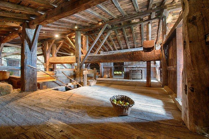 " Basque Farm House & Cider house" tour + meal from San Sebastian