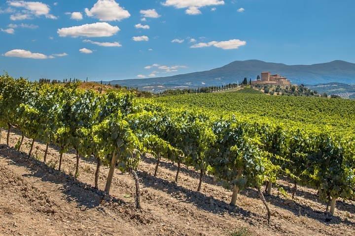 Private: Tuscany Day Tour from Rome with Optional Wine Tasting