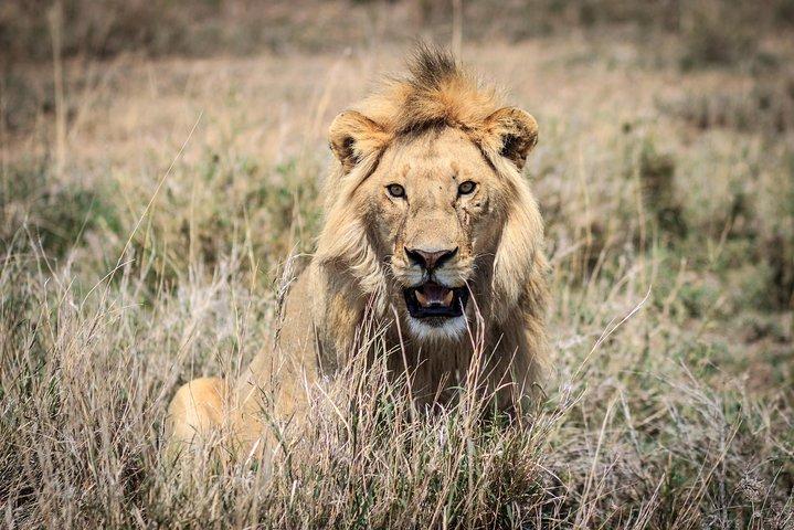3-Days 2-nights Tanzania Private Budget Camping Safari