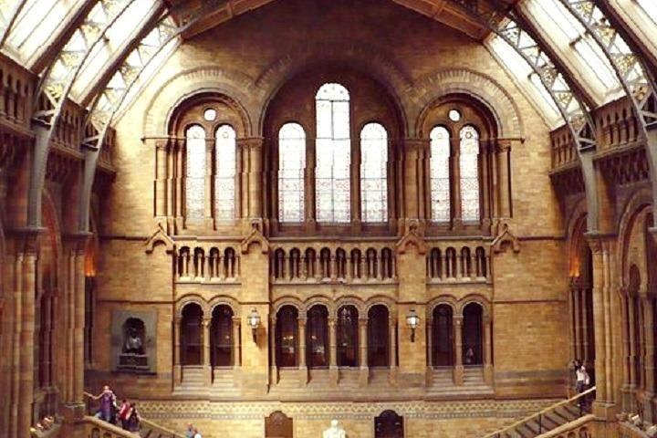 London Natural History Museum Private Tour for Kids & Families