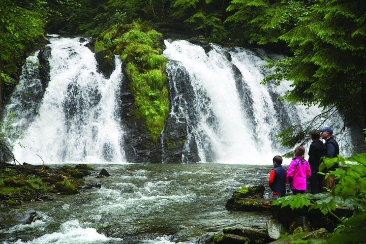 Historic Gold Panning Adventure & Salmon Bake