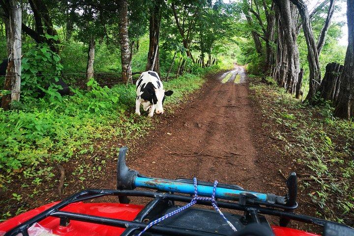 ATV adventure from Riu, Secrets and papagayo