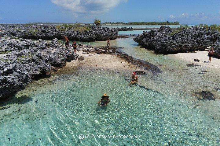 Reef island private tour