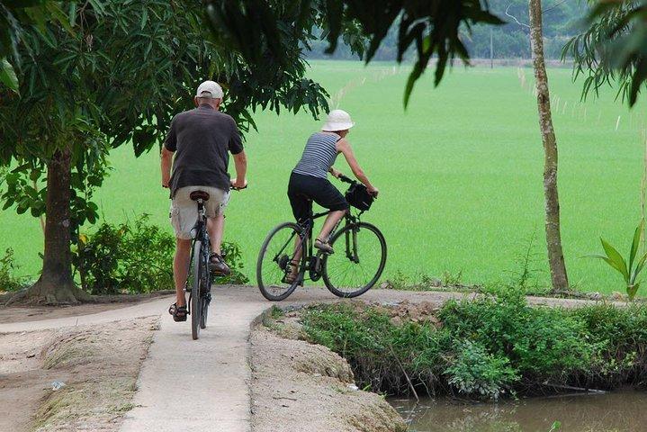Private Tour Mekong Delta Day Trip from Ho Chi Minh City