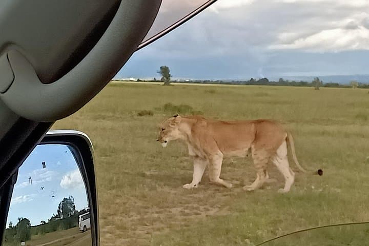 4 Days Maasai Mara & L. Nakuru N. Park