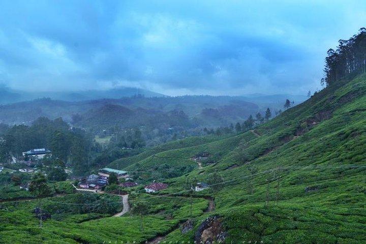 5 Days Kerala Tour Package With 4 Star Stays & Private Houseboat