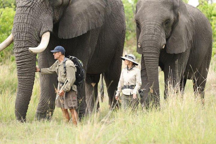 3 Days Samburu Big Five