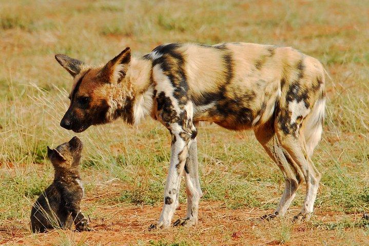 4 Days Touch of Wilderness – Mid-Range