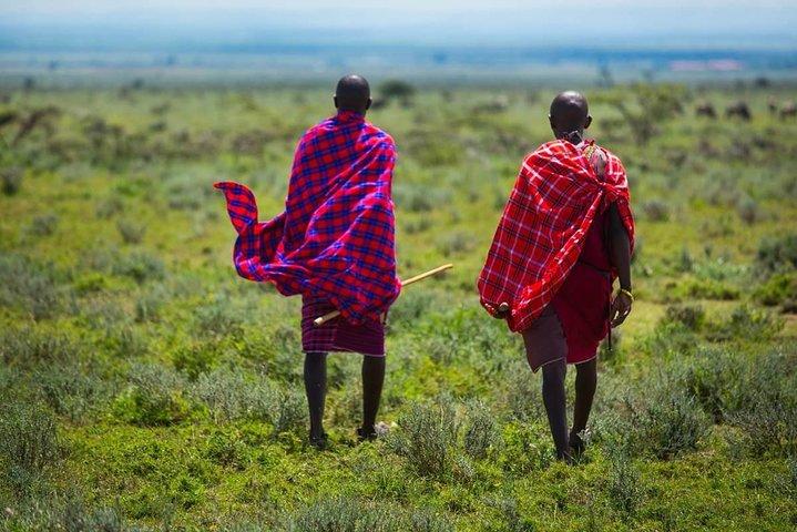 3 Days Ngorongoro Crater Wildlife Safari