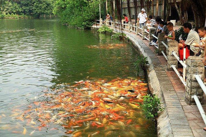 Private flexible Guangzhou City Sightseeing Tour with Dim-Sum Tasting