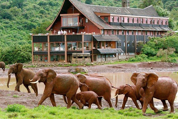 Private 5 Days Aberdares Ol Pejeta Conservancy & Samburu Wildlife Safari