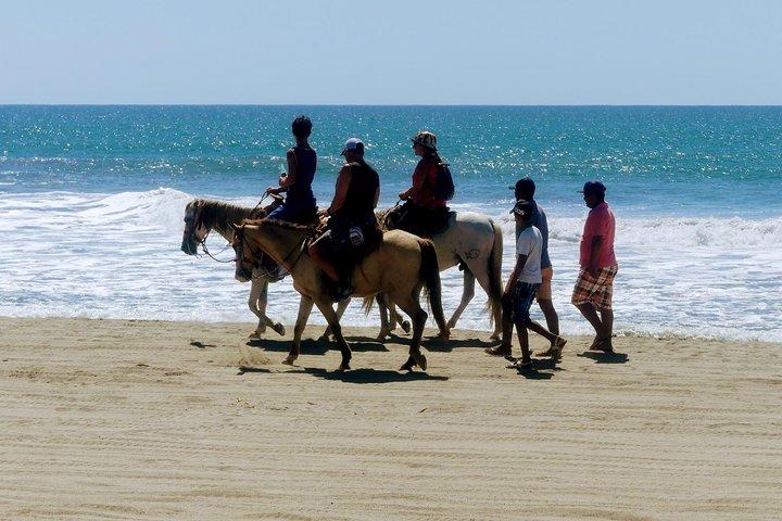 Afro-Mexican Village: Horseback Beach Ride, Crocs & Cliff Diver