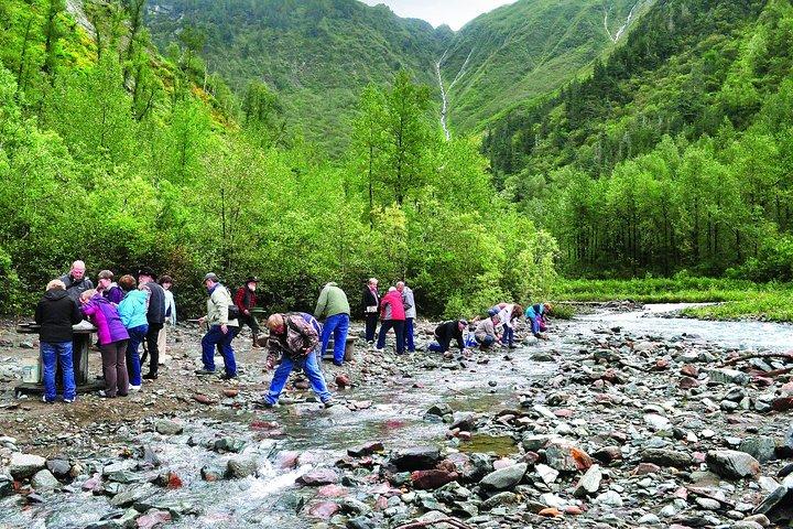 Historic Gold Panning Adventure & Salmon Bake