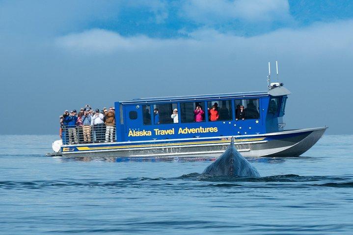 Juneau Whale Watching and Salmon Bake