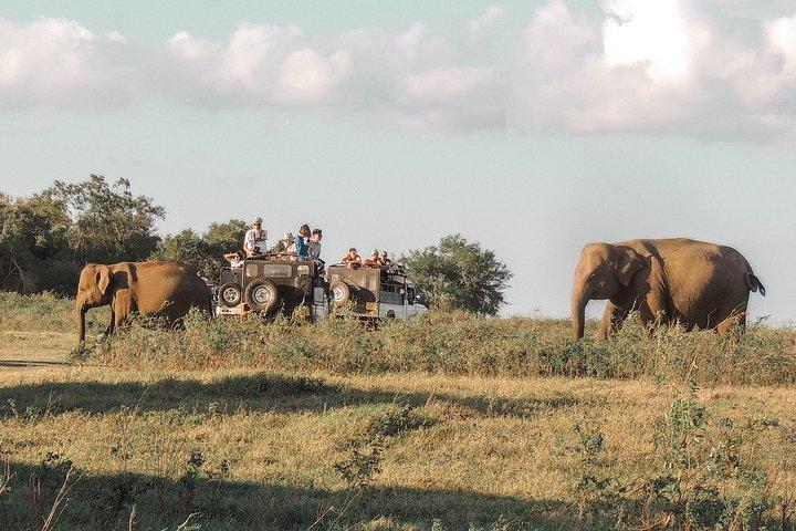 Tales of Ancient Ceylon from Colombo (3 Days)