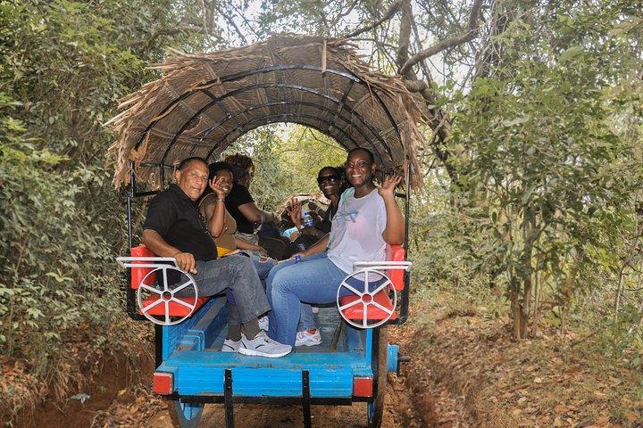 Tales of Ancient Ceylon from Colombo (3 Days)