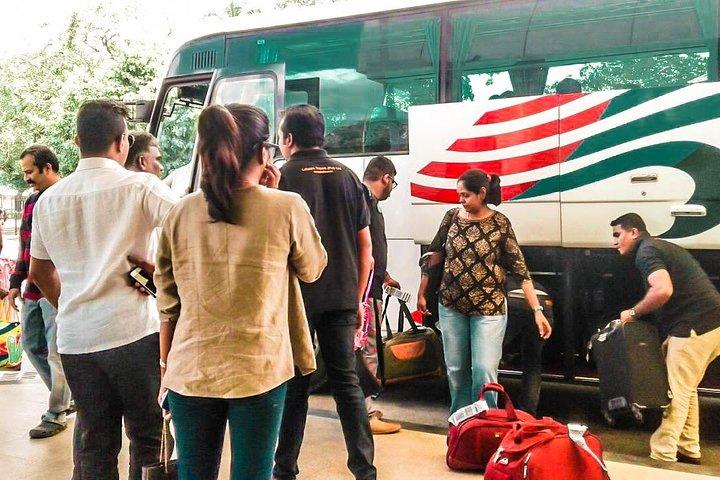 Udawalawe City to Ella City Private Transfer