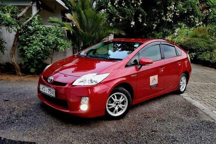 Colombo City to Udawalawe City Private Transfer