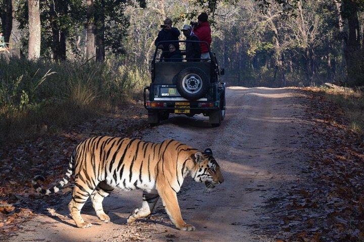 4 Day Golden Triangle Tour with Ranthambore Safari from Delhi
