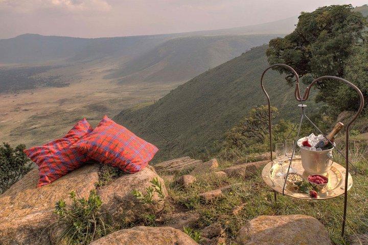 7 Days Luxury Tanzania Wildlife Safari