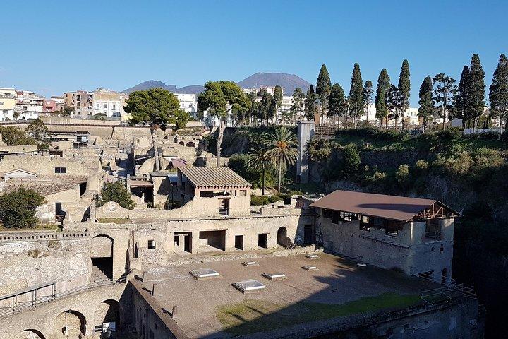 Herculaneum Ruins: Day trip from Naples with Skip the Line