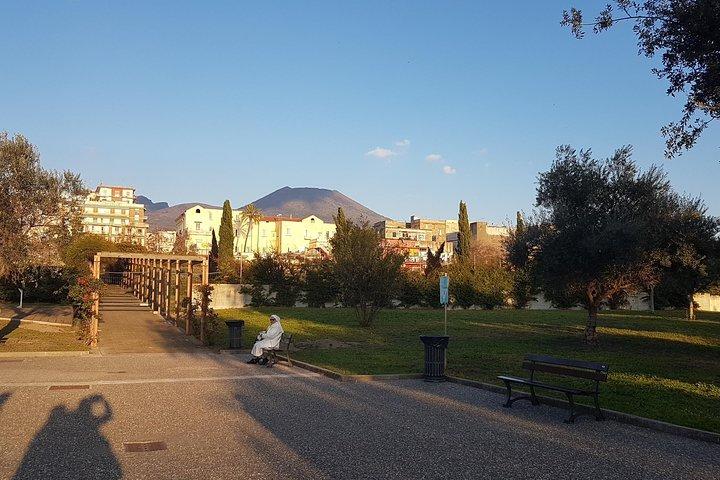 Herculaneum Ruins: Day trip from Naples with Skip the Line