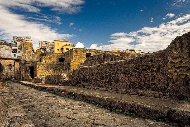 Vesuvius and Herculaneum Day Trip from Naples with Skip the Line
