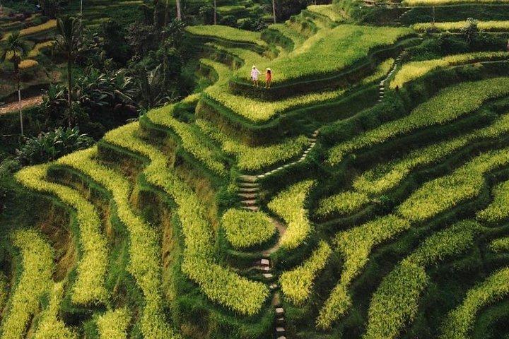 Bali Instagram Tour - All Inclusive