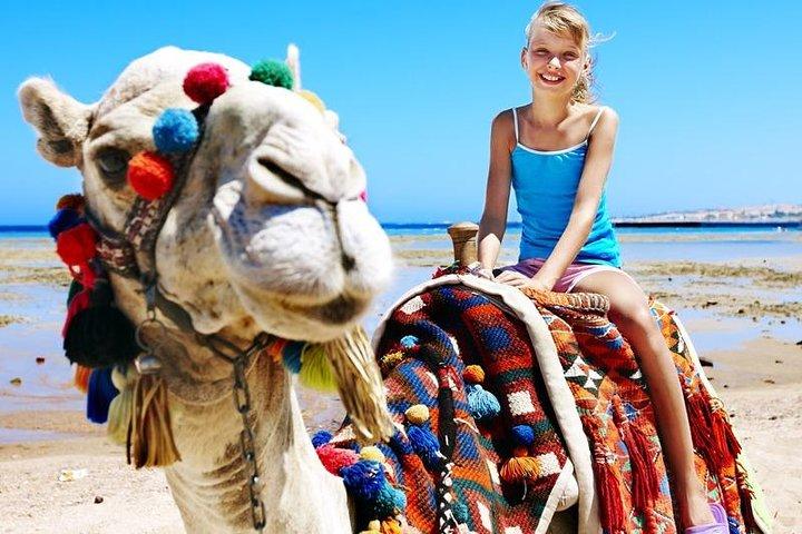 Camel Encounter and Safari Ride with Lunch and Alcohol Tasting