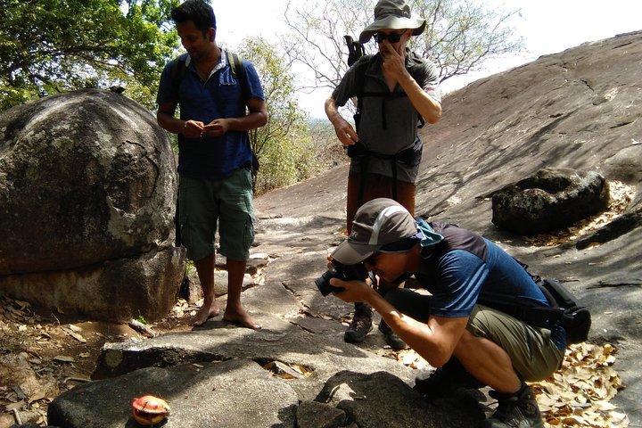 Trekking Dimbulagala Mountain