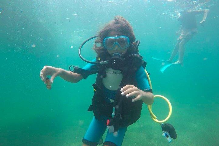 Diving initiation (Initiation)