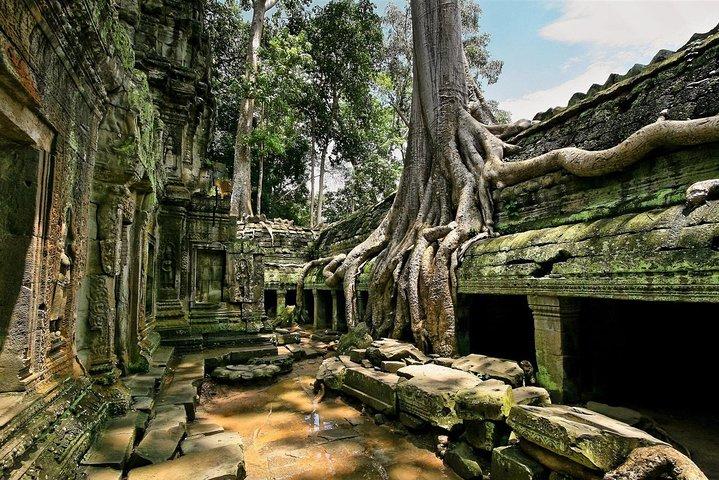 1 day special Tour: Angkor Wat,Bayon,Ta Prohm, Bantey srei and Beng Mealea