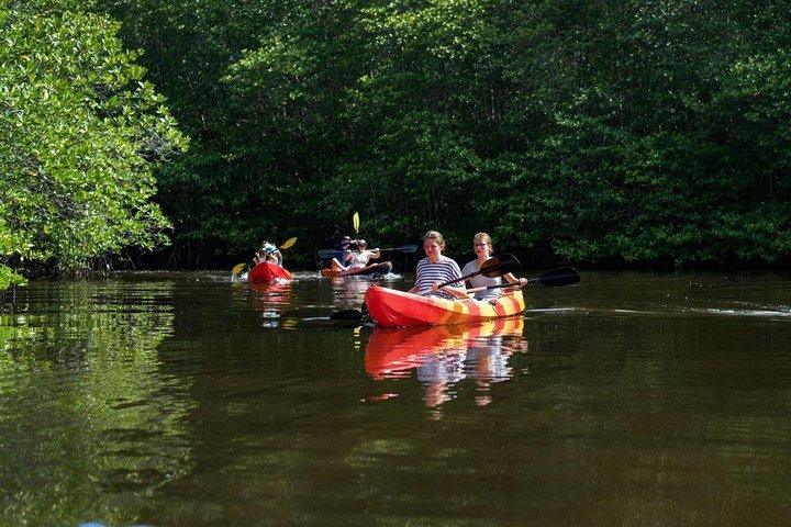 1 Hour Mangrove Tour From Lembongan with Kayak, Paddle, or Boat