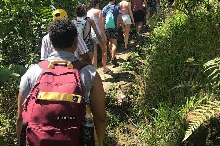 El Yunque Rainforest Guided Day Tour from San Juan
