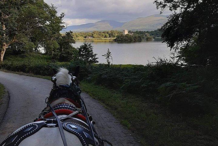 Killarney National Park Tour