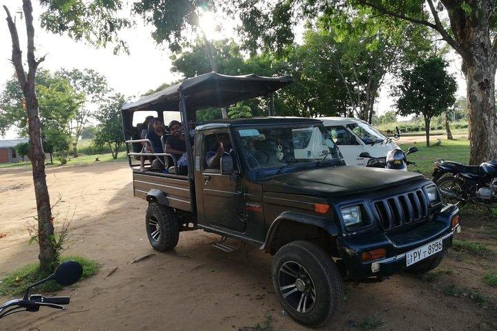 Udawalawa Safari tour - All inclusive day tour (Group)
