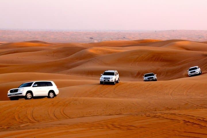 Red Dune Desert Safari with ATV Quad Bike, Live Show, Camel Ride & Dinner